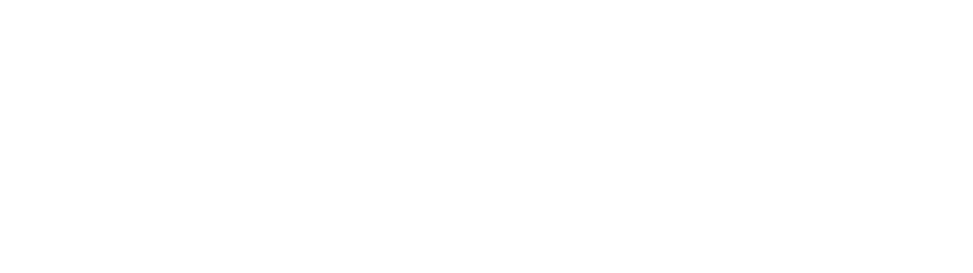 New College Logo